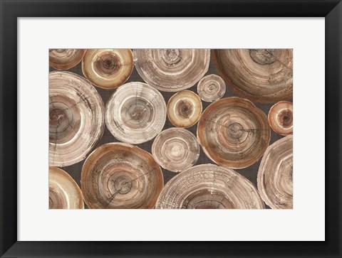 Framed Rings of Life II Print