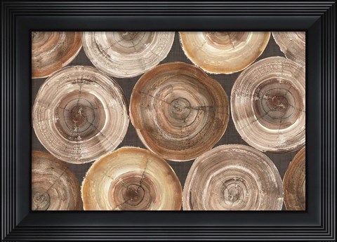 Framed Rings of Life I Print