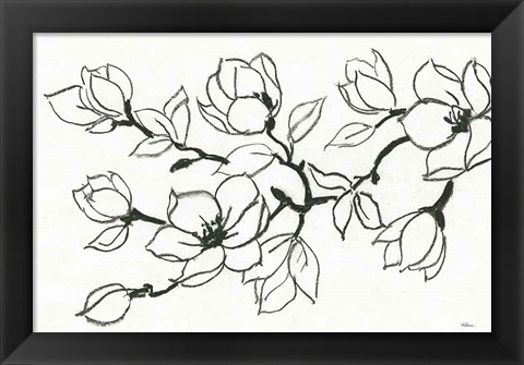 Framed Flower Drawing Print