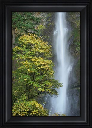 Framed Multnomah Falls color Print