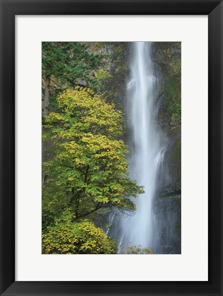 Framed Multnomah Falls color Print