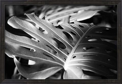 Framed Philodendron Print