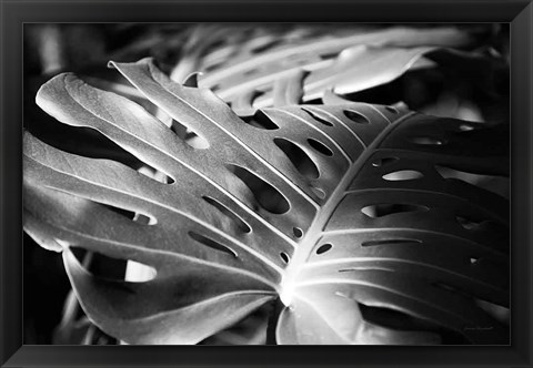 Framed Philodendron Print