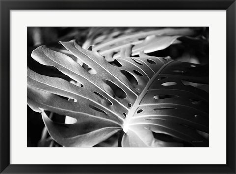 Framed Philodendron Print