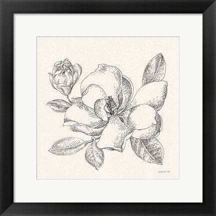 Framed Flower Sketches II Print