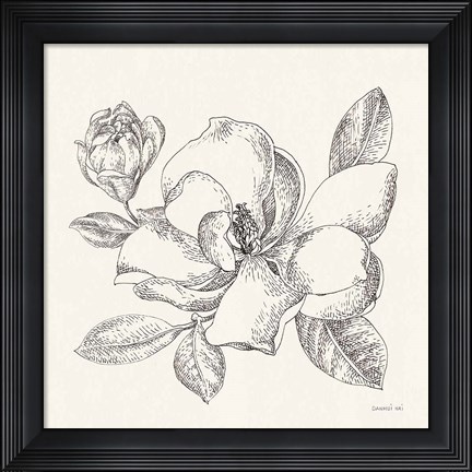 Framed Flower Sketches II Print