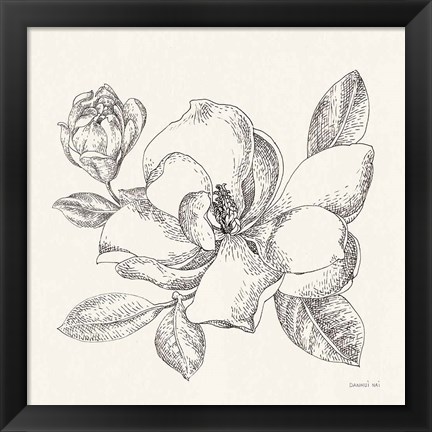 Framed Flower Sketches II Print