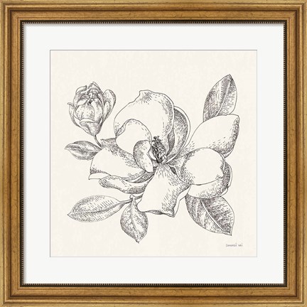 Framed Flower Sketches II Print