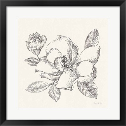 Framed Flower Sketches II Print