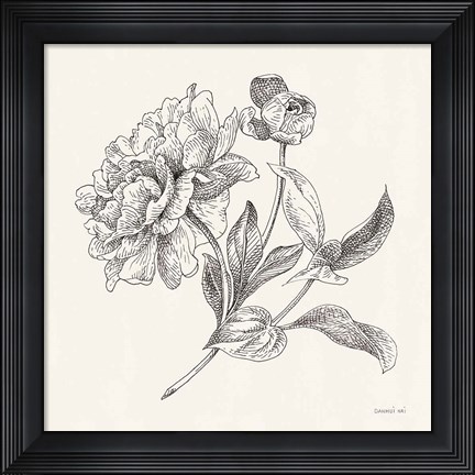 Framed Flower Sketches I Print