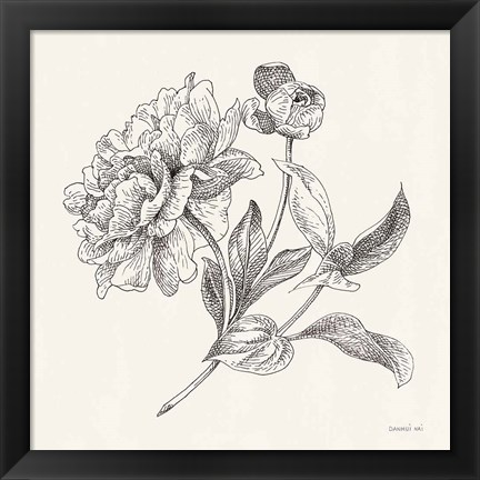 Framed Flower Sketches I Print