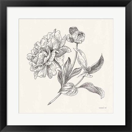 Framed Flower Sketches I Print