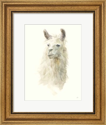 Framed Classic Llamas II Print