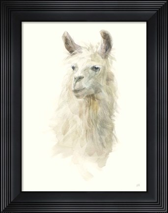 Framed Classic Llamas II Print