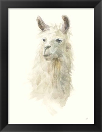 Framed Classic Llamas II Print