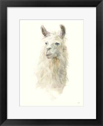 Framed Classic Llamas II Print