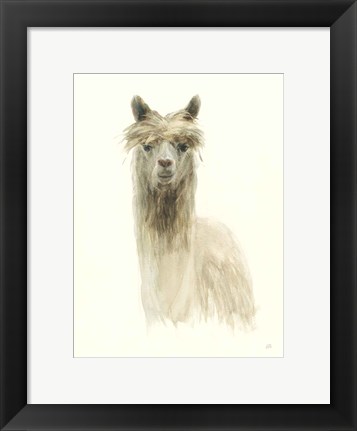 Framed Classic Llamas I Print