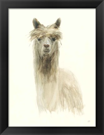 Framed Classic Llamas I Print