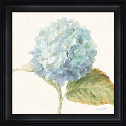 Framed Floursack Florals V - Blue Hydrangea Crop Print