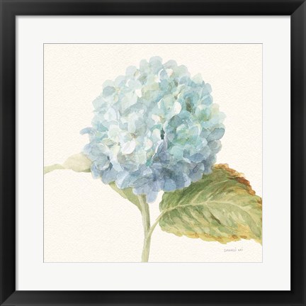 Framed Floursack Florals V - Blue Hydrangea Crop Print