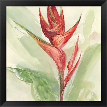 Framed Exotic Flower IV Print