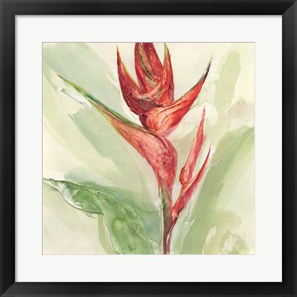 Framed Exotic Flower IV Print