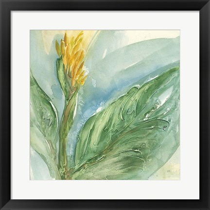 Framed Exotic Flower II Print