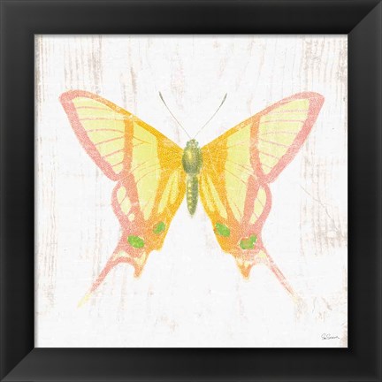 Framed White Barn Butterflies IV Print