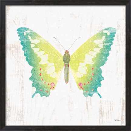 Framed White Barn Butterflies III Print