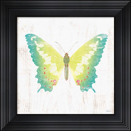 Framed White Barn Butterflies III Print