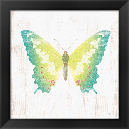 Framed White Barn Butterflies III Print