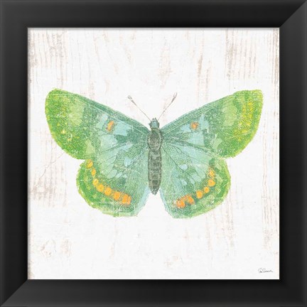 Framed White Barn Butterflies II Print