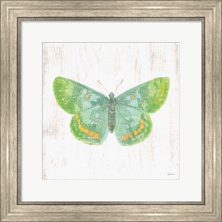 Framed White Barn Butterflies II Print