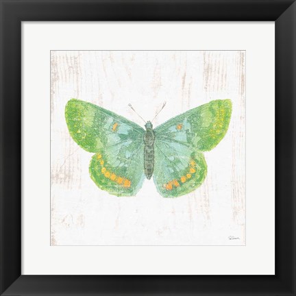 Framed White Barn Butterflies II Print