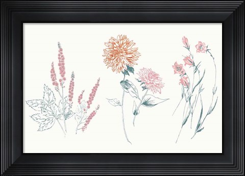 Framed Flowers on White VIII Contemporary Bright Print