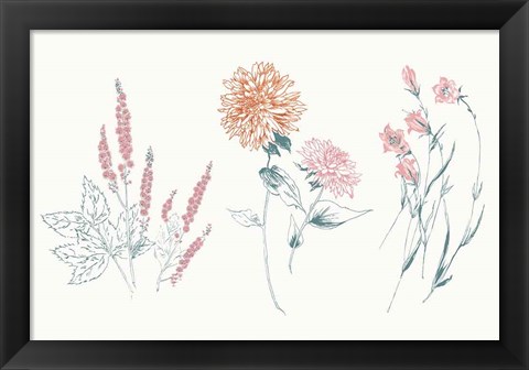 Framed Flowers on White VIII Contemporary Bright Print