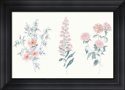 Framed Flowers on White IX Contemporary Bright Print