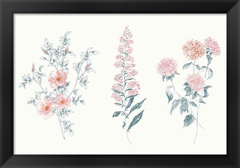 Framed Flowers on White IX Contemporary Bright Print