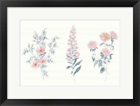 Framed Flowers on White IX Contemporary Bright Print