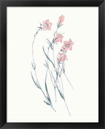 Framed Flowers on White V Contemporary Bright Print
