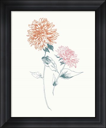 Framed Flowers on White IV Contemporary Bright Print