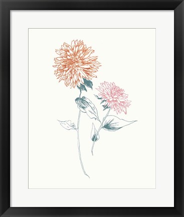 Framed Flowers on White IV Contemporary Bright Print