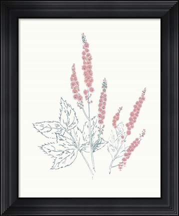Framed Flowers on White VII Contemporary Bright Print