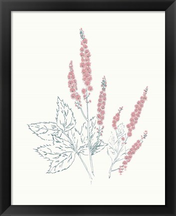 Framed Flowers on White VII Contemporary Bright Print