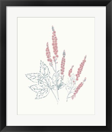 Framed Flowers on White VII Contemporary Bright Print