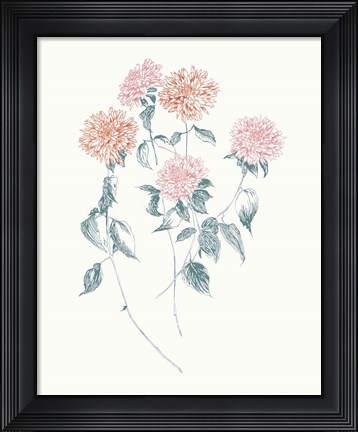 Framed Flowers on White VI Contemporary Bright Print