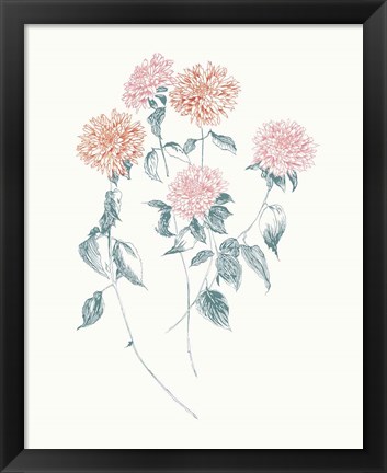 Framed Flowers on White VI Contemporary Bright Print