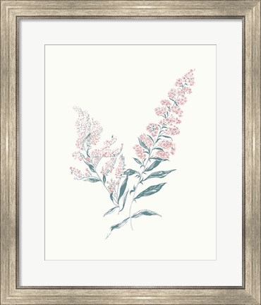 Framed Flowers on White I Contemporary Bright Print