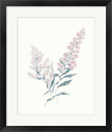 Framed Flowers on White I Contemporary Bright Print
