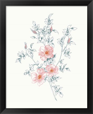 Framed Flowers on White II Contemporary Bright Print